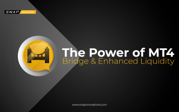 MT4 Bridge Liquidity and Trading Platforms-01