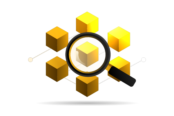 What Is a Blockchain Explorer?